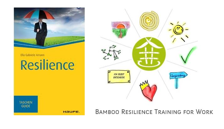 Resilience-Haufe-Pocket-Guide