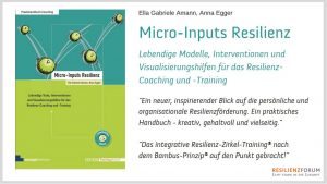 Micro Inputs Resilienz_managerSeminare