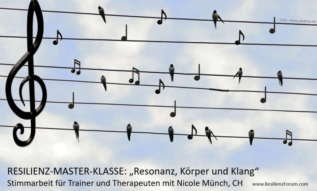 Resilienz-Master-Klasse Resonanz mit Nicole Münch