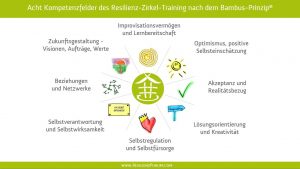 RZT 02_16 Lern- und Kompetenzfelder Resilienz-Zirkel-Training nach dem Bambus-Prinzip