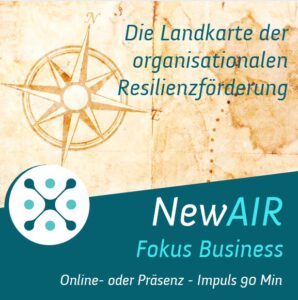 02_NewAIR Fokus Business_Landkarte organisationale Resilienz