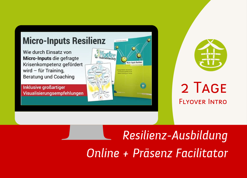 Resilienz Ausbildung | 2 Tage Resilienz Facilitator Flyover (RZT®-Intro)
