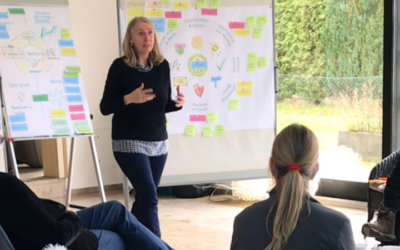 Resilienz Ausbildung Modul 4: Der RZT® Facilitation-Prozess