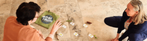 Resilienz Facilitator EXPERT balance-acting-system