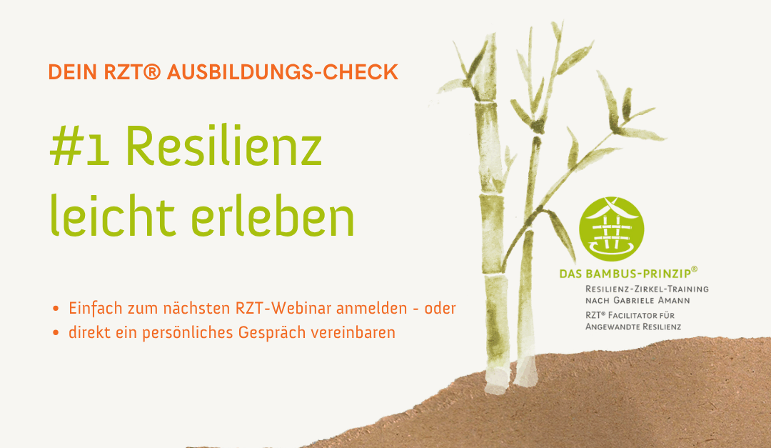 Dein Resilienz-Ausbildungs-Check #1: Resilienz leicht erleben – weil es einfach mehr Sinn ergibt